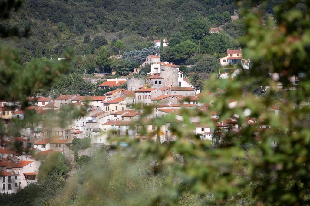 Hotel La Pinede Amélie-les-Bains-Palalda Pokój zdjęcie